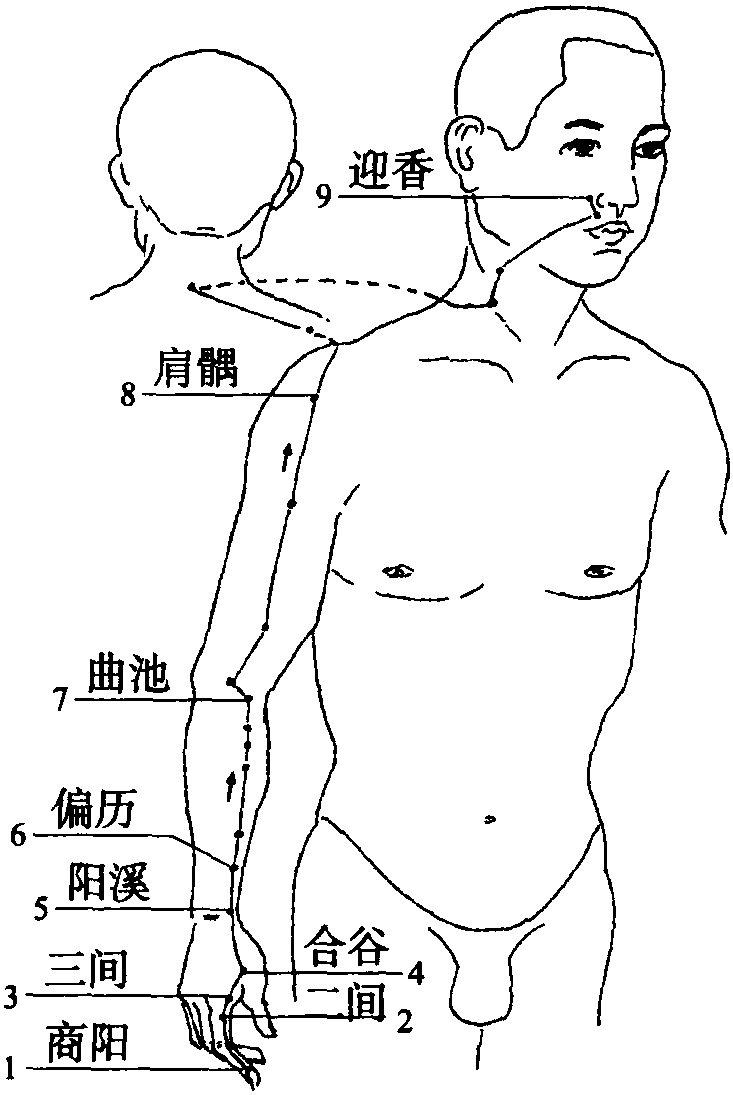 二、手陽明大腸經(jīng)